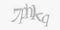 Защитный код