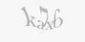 Защитный код